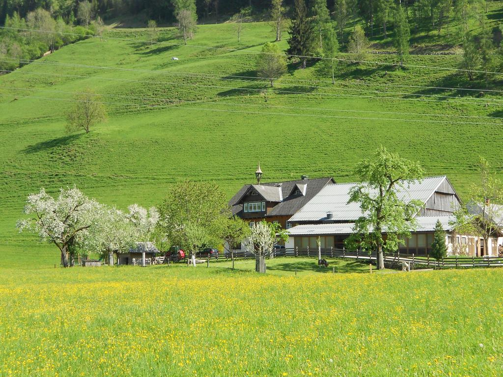 Weitgasserhof Schladming Zewnętrze zdjęcie