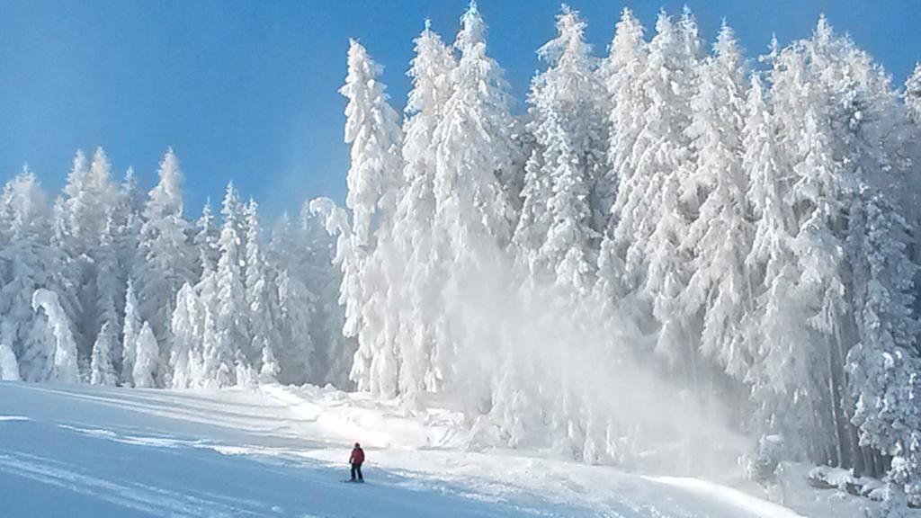 Weitgasserhof Schladming Zewnętrze zdjęcie